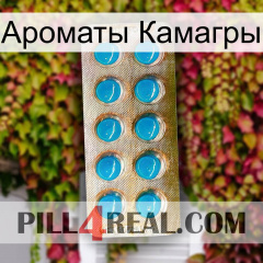 Ароматы Камагры new09